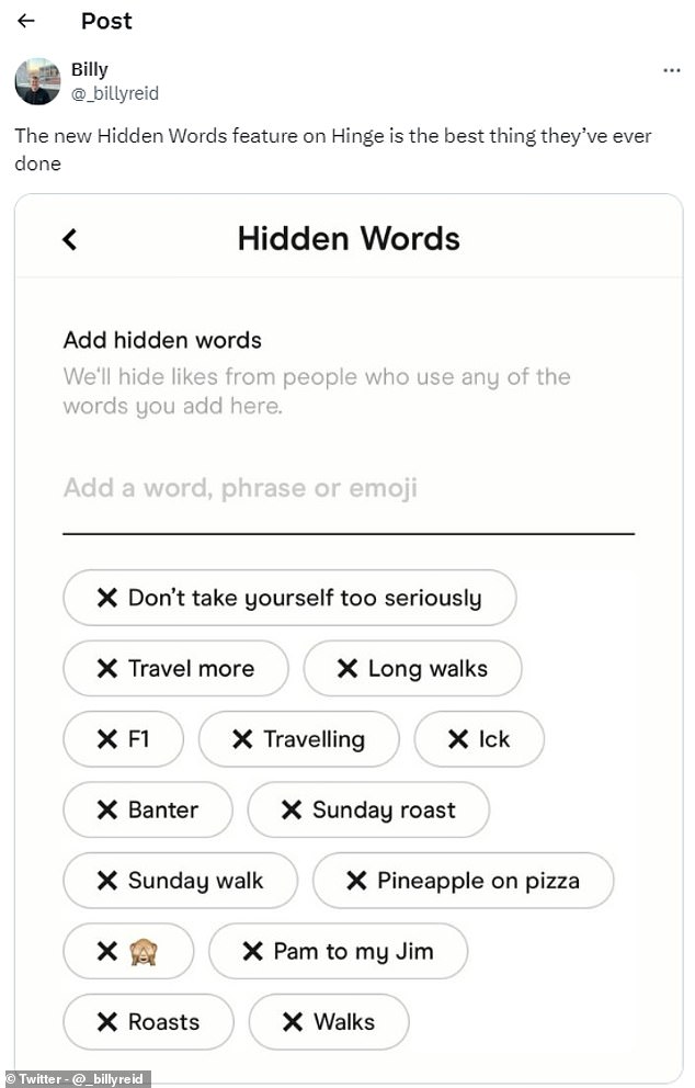 Screenshots der Hidden Words-Listen der Benutzer bieten einen einzigartigen Einblick in die Themen, von denen Hinge-Benutzer allzu oft hören