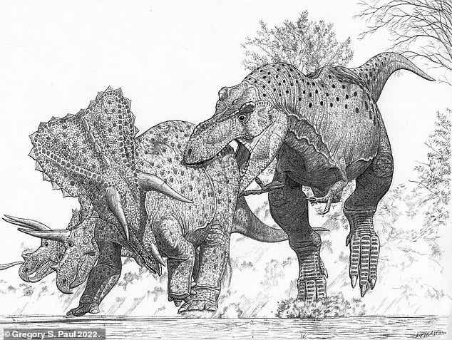 Hier greift Tyrannosaurus imperator eine Herde des modernen pflanzenfressenden Dinosauriers Triceratops horridus an