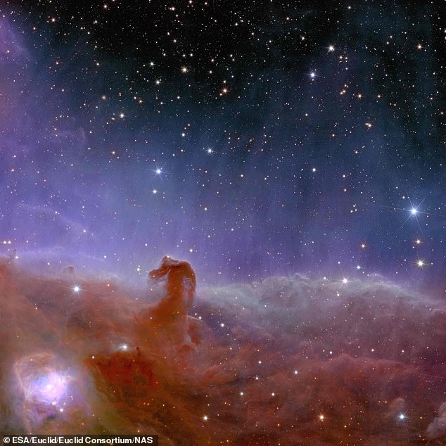 Seit ein schottischer Astronom ihn 1888 zum ersten Mal entdeckte, ziert der ikonische Pferdekopfnebel (oben) Astronomiebücher, oft getaucht in die UV-Strahlung des darüber liegenden, sehr hellen Sterns Sigma Orionis.  Oben ein Bild des Nebels aus dem Jahr 2023, aufgenommen von der Raumsonde Euclid