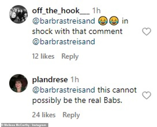 Ein Benutzer stellte die Möglichkeit in Frage, dass jemand unter Streisands Benutzernamen postete, und sagte, dass „das unmöglich die echten Babs sein können“.