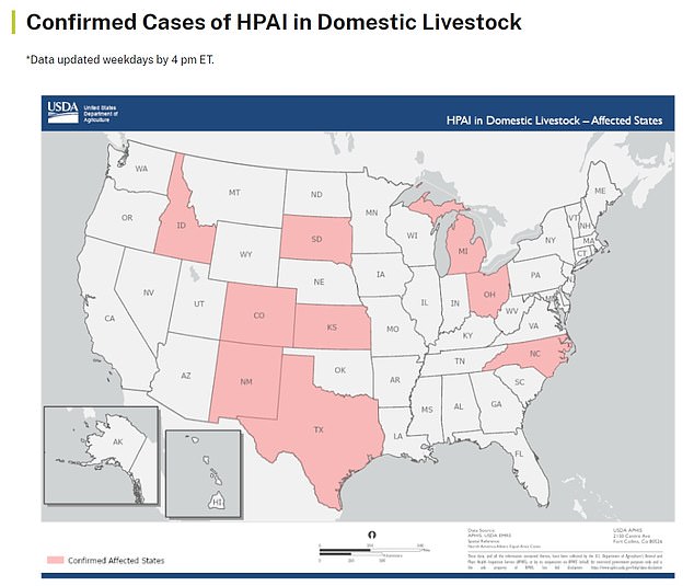 Die obige Karte zeigt Staaten mit infiziertem Vieh.  Insgesamt wurden in 34 Betrieben Fälle des Virus gemeldet