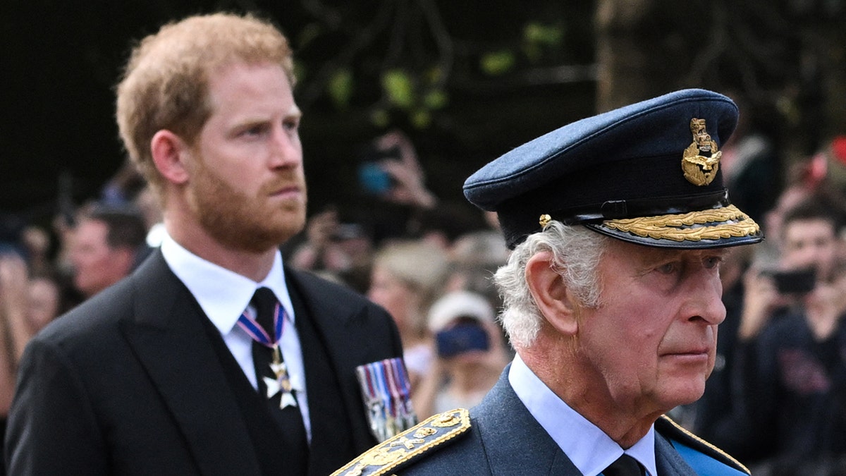 Prinz Harry und König Charles sehen in formeller Kleidung düster aus