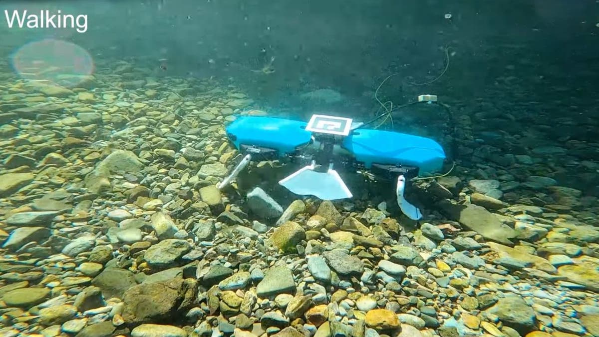 Der formverändernde Unterwasserroboter, der in die Tiefen des Meeres vordringt