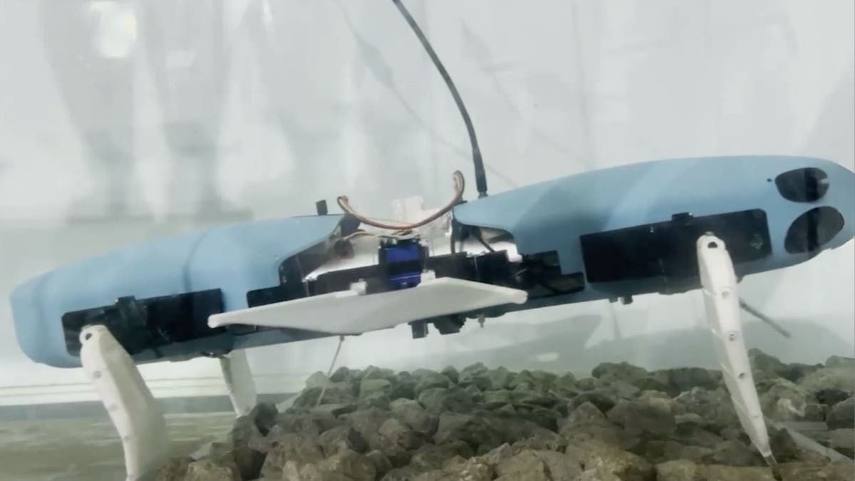 Der formverändernde Unterwasserroboter, der in die Tiefen des Meeres vordringt