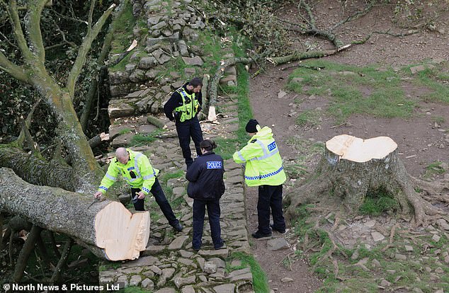 Polizeibeamte aus Northumbria treffen am Tatort des Sycamore Gap-Baums ein, um Nachforschungen anzustellen