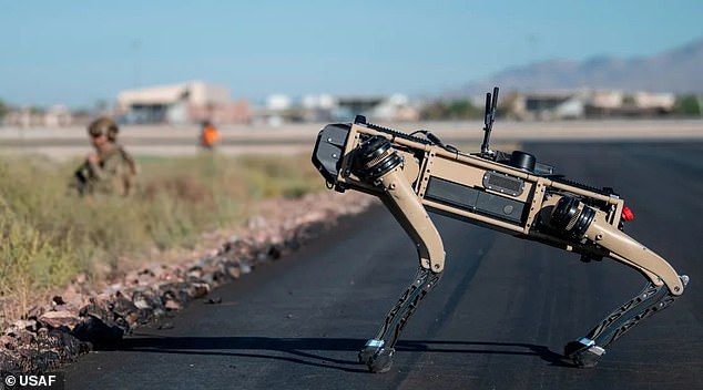 Die vierbeinigen Roboterhunde des Pentagons könnten einen Vorgeschmack darauf geben, wie Killermaschinen aussehen werden