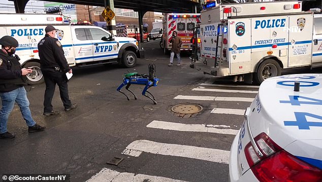 Bewohner der Bronx, New York, blieben stehen, als der vierbeinige Roboterhund im Februar 2021 die East 227th Street entlangtrottete.