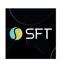 SFT-Protokoll