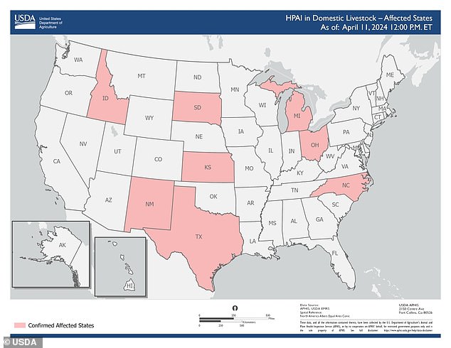 Die obige Karte zeigt Staaten mit Rinderherden, bei denen Vogelgrippe diagnostiziert wurde