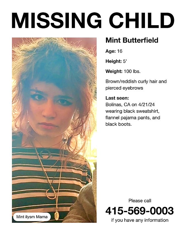 Mint Butterfield, die 16-jährige Tochter des milliardenschweren Technologie-CEO Stewart Butterfield, ist verschwunden