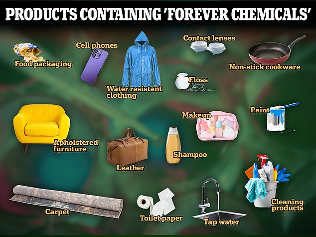 Forever-Chemikalien, auch PFAS genannt, finden sich in alltäglichen Produkten wie Make-up, Möbeln und antihaftbeschichtetem Kochgeschirr, die in den Boden und ins Trinkwasser gelangen können