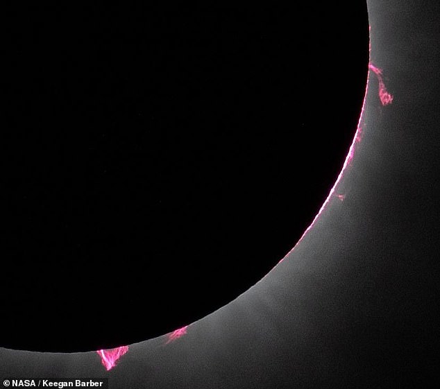 Der NASA-Fotograf Keegan Barber hat während der Sonnenfinsternis mehrere leuchtend rosa „Sonnenprotuberanzen“ eingefangen, als die Sonne am 8. April 2024 fast 93 Millionen Meilen über Dallas, Texas, hing (oben)