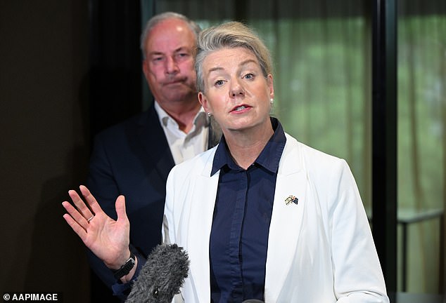 Bridget McKenzie hielt sich mit den Plänen der Regierung von Queensland für die Olympischen Spiele nicht zurück