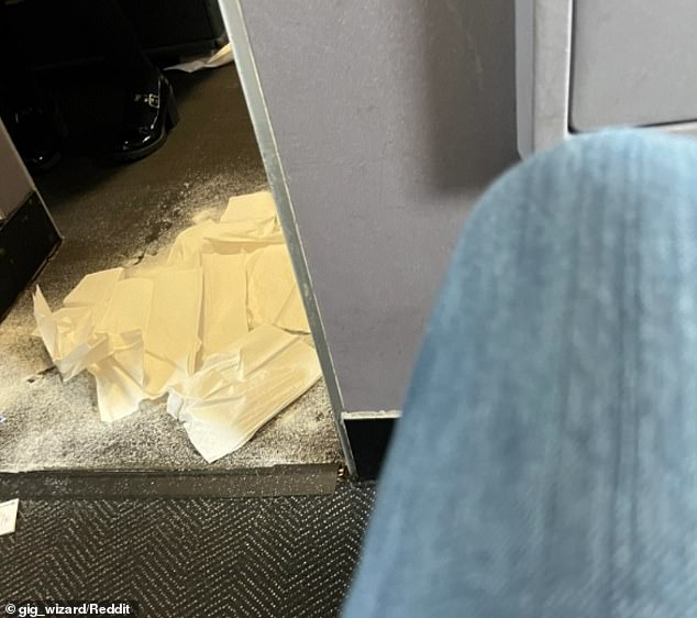 Ein Flug der United Airlines musste landen, nachdem ein Hund im Gang des Flugzeugs seine Notdurft verrichtet hatte – direkt vor der Toilette der ersten Klasse, wie ein Sprecher gegenüber DailyMail.com bestätigte