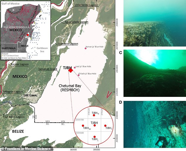 Die Lage des Taam ja' Blue Hole (TJBH) in der Bucht von Chetumal, Mexiko, wird zusammen mit Fotos von Taucherkundungen des TJBH in Tiefen (B) 16 Fuß unter dem Meeresspiegel (C) 65 Fuß unter dem Meeresspiegel und (D) 98 Fuß präsentiert Fuß unter dem Meeresspiegel