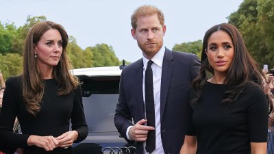 Wo stehen Prinz Harry und Meghan mit William und Kate Middleton während ihres Kampfes gegen den Krebs? 445