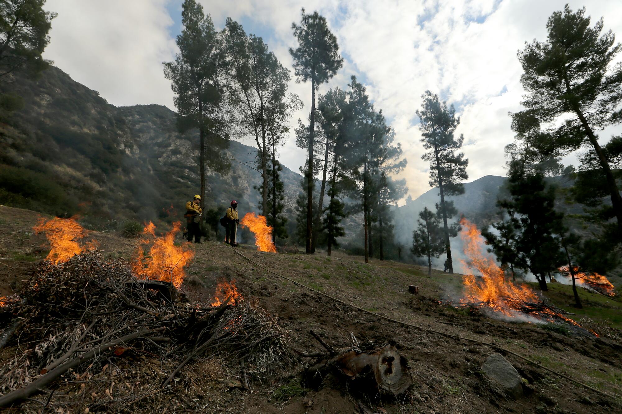 Feuerwehrleute des US Forest Service verbrennen im Angeles National Forest haufenweise Waldschutt unterhalb des Mt. Baldy.