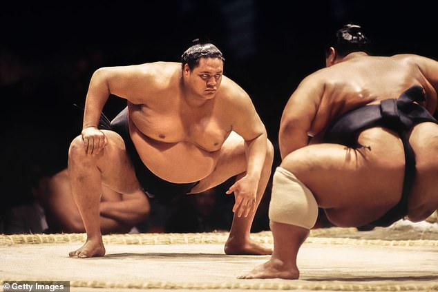 Akebono Taro wog in den besten Jahren seiner Karriere als Sumo-Ringer 500 Pfund