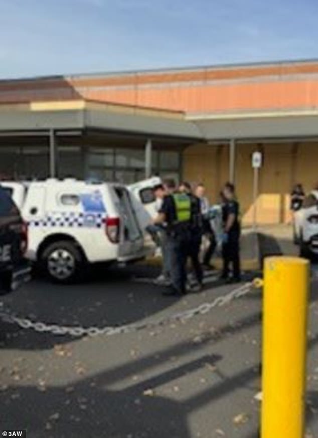 Die Polizei verfolgte den SUV bis zum Parkplatz des Einkaufszentrums (im Bild), bevor sie die Teenager in dramatischen Szenen festnahm