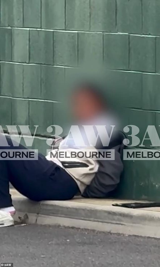 Ein Junge (im Bild) gehört zu den drei Teenagern, die von der Polizei in Melbourne festgenommen wurden, nachdem Beamte am Montag zu einer wilden Verfolgungsjagd geführt wurden, die auf dem Parkplatz eines Einkaufszentrums endete