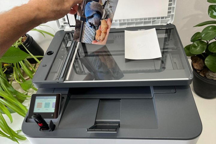 Ein Schwarzweißdrucker scannt in Farbe und der Flachbettdrucker des LaserJet Pro MFP 3101fdw verarbeitet Fotos gut.