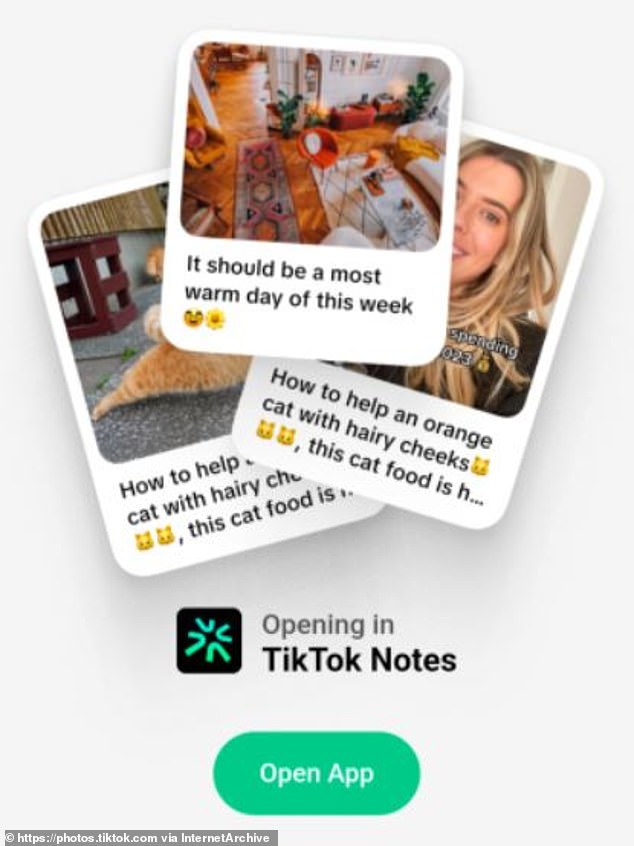 Eine TikTok-eigene URL zeigte kurz scheinbar Platzhalter-Marketingmaterial für die neue App und zeigte an, dass Benutzer möglicherweise Bilder mit Bildunterschriften posten können