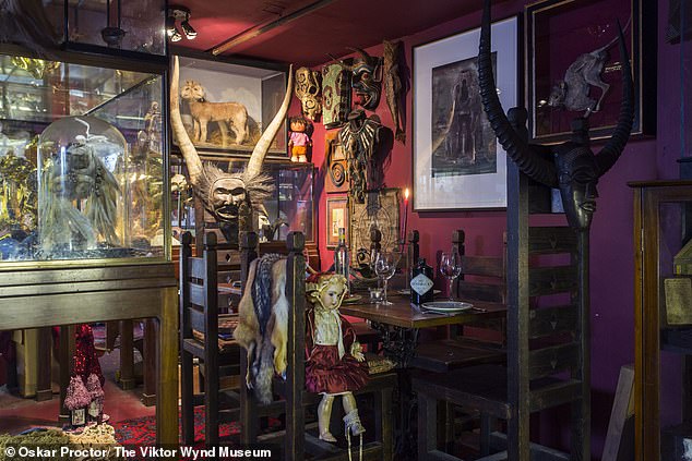 Das Viktor Wynd Museum beherbergt eine exzentrische Sammlung von Objekten, die Viktor Wynd erworben hat.  Abgebildet ist „der Tisch des Teufels“, vollgestopft mit ungewöhnlichen Gegenständen.  In der Glasvitrine dahinter ist ein zweiköpfiges Lamm abgebildet