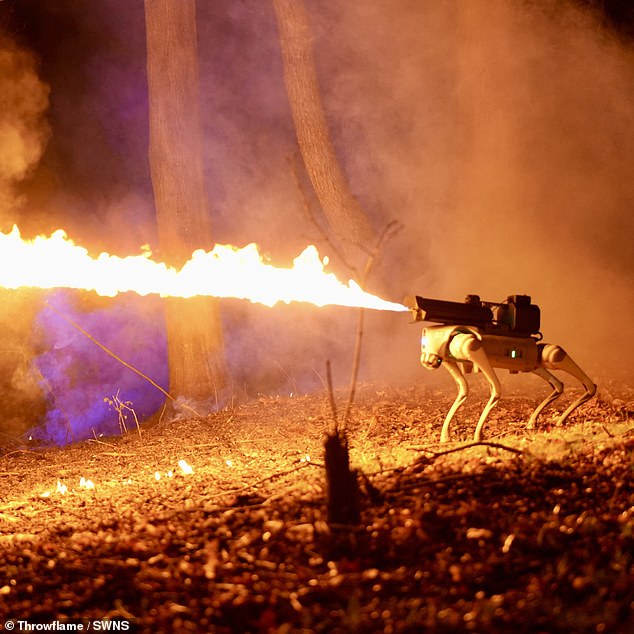 Oben der Thermonator, der flammenwerfende Roboterhund einer in Ohio ansässigen Firma für 9.420 US-Dollar
