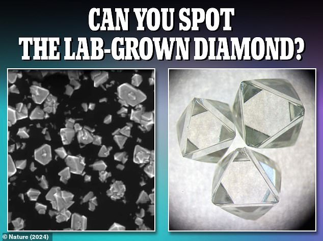 Es dauert Milliarden von Jahren, bis sich Diamanten vollständig gebildet haben, was sie für Käufer teurer macht. Mit der im Labor gezüchteten Alternative können Sie jedoch Tausende von Dollar sparen.  Können SIE den Unterschied erkennen?