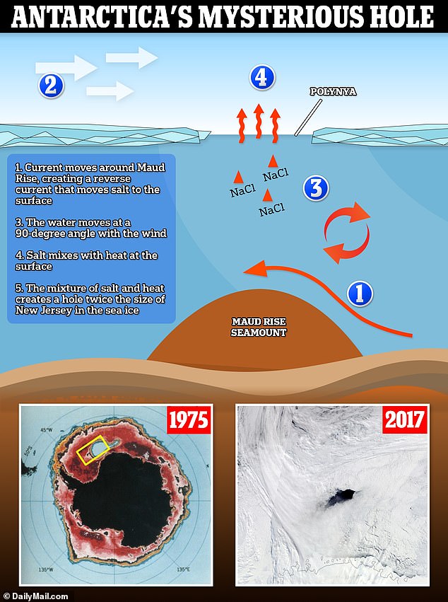 Die Polynya wurde durch eine Kombination aus Meeresströmungen, Wind und zunehmendem Salzgehalt im Wasser verursacht, die das Meereis schmolz.
