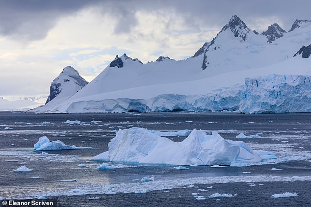 Das Auftreten einer Polynya Hunderte von Meilen vor der Küste der Antarktis ist ein ungewöhnliches Ereignis und Forscher fanden heraus, dass es durch eine Kombination aus Wasserströmungen, Wind und Salz verursacht wird.  Im Bild: Die Maud-Rise-Polynya im Jahr 2017. Im Bild Meereis im Wasser vor Cuverville Island in der Antarktis