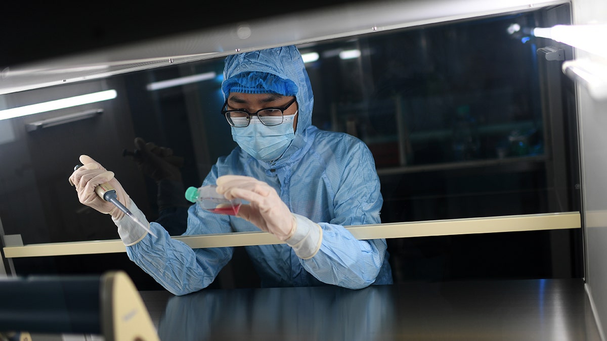 Forscher für Infektionskrankheiten in China
