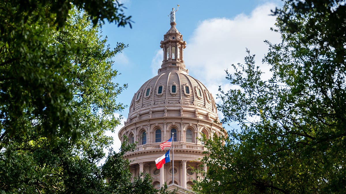 Die Kuppel des Texas Capitol ist von Bäumen umrahmt