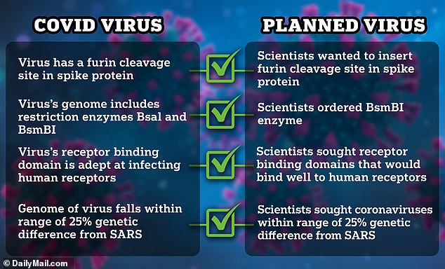Im Jahr 2018 versuchten Wissenschaftler, ein neuartiges Virus zu entwickeln, dessen Eigenschaften denen von SARS-CoV-2 sehr ähnlich sind, dem Virus, das Covid verursacht und von dem einige sagen, dass es als Blaupause für Covid – und die daraus resultierende Pandemie – dient