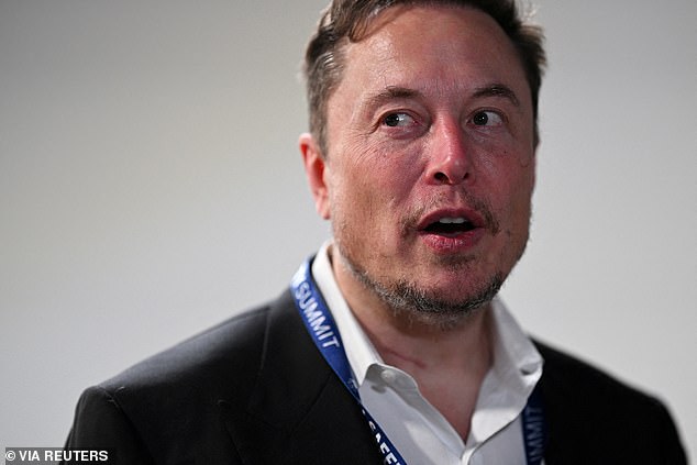 Elon Musk (im Bild), der damit prahlt, „immer die Babytrommel zu schlagen“, warnt seit Jahren vor einem Rückgang der Geburten