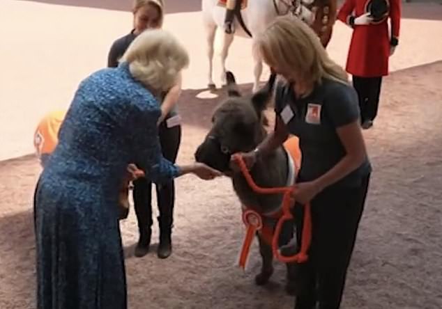 SÜSS: Die Königin füttert während eines Empfangs im Buckingham Palace eine Karotte an einen entzückenden Esel