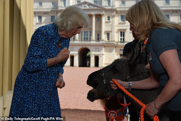 Die Königin schien sich über die Begegnung mit den Tieren zu freuen, als sie den 90. Geburtstag von Brooke feierte
