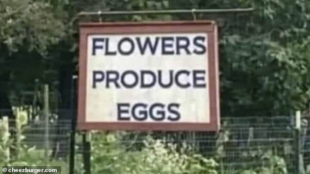 An anderer Stelle lernte ein örtlicher Bauernladen schnell die Bedeutung von Kommas kennen, als er versuchte, für den Verkauf von Blumen, Obst und Gemüse und Eiern zu werben