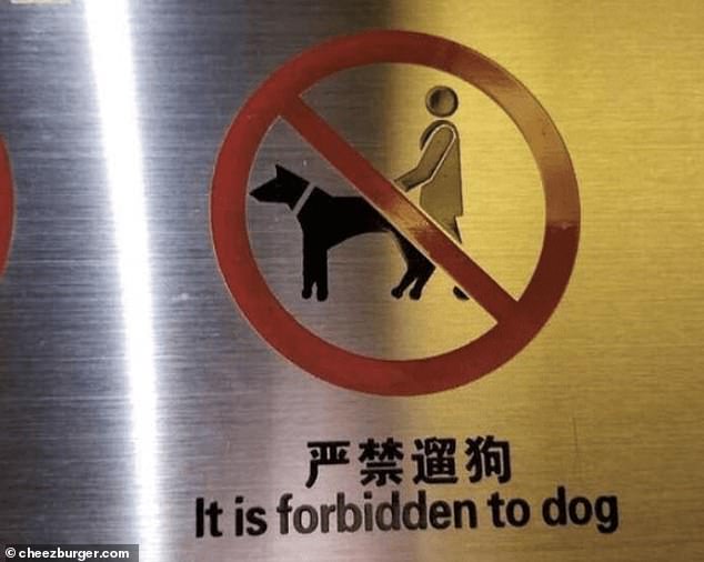 Unangenehm!  Mittlerweile bedeutet dieses chinesische Schild eigentlich „Das Ausgehen mit Hunden ist strengstens verboten“, die englische Übersetzung auf dem Schild fordert die Menschen jedoch lediglich dazu auf, kein „Hund“ zu machen.