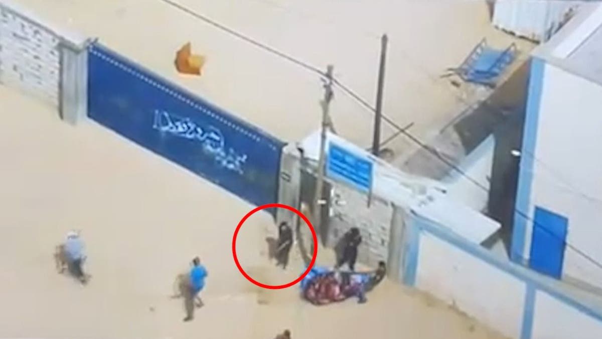 Hamas-Terroristen UNRWA schließen sich Rafah an