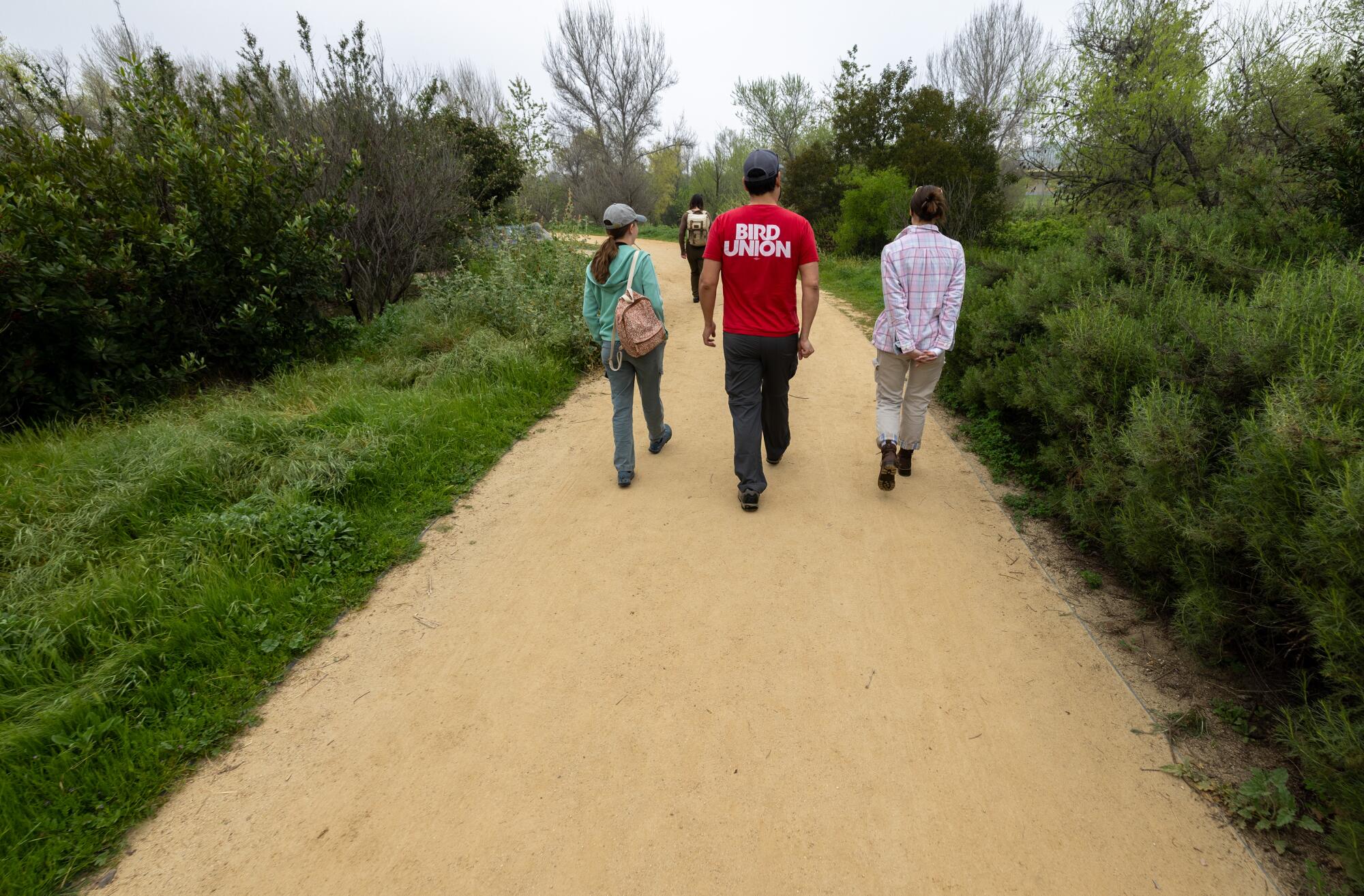Drei Menschen gehen gemeinsam einen grünen Weg entlang
