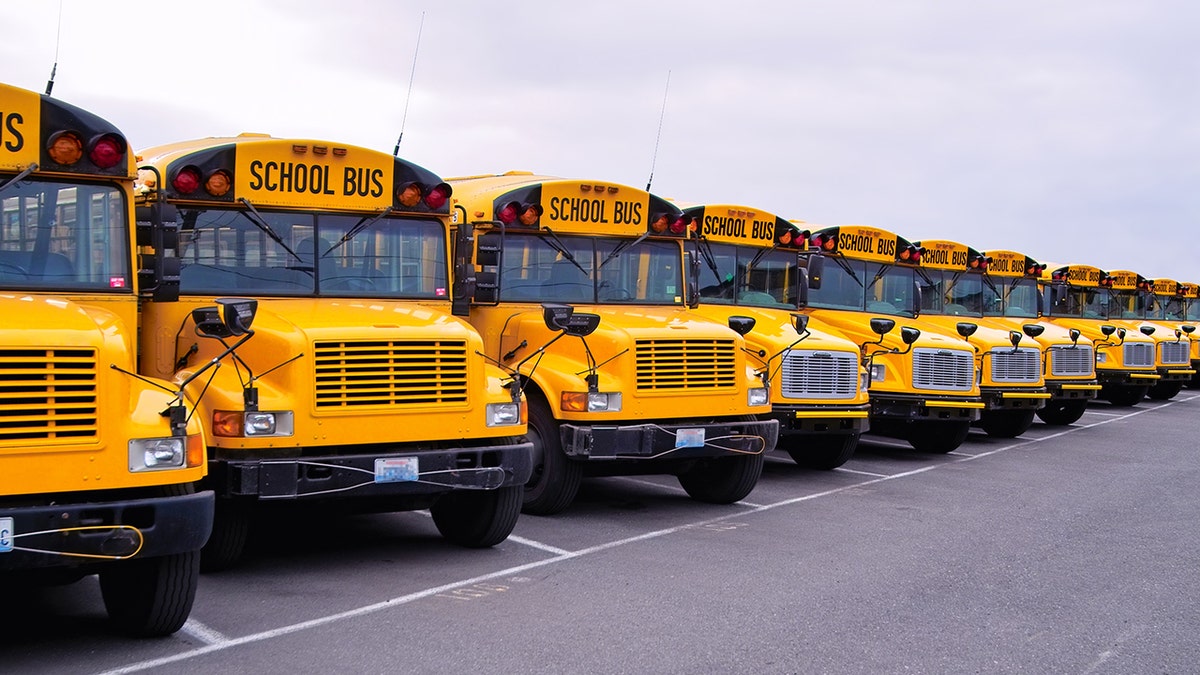 Schulbusse stehen in einer Reihe auf einem Parkplatz