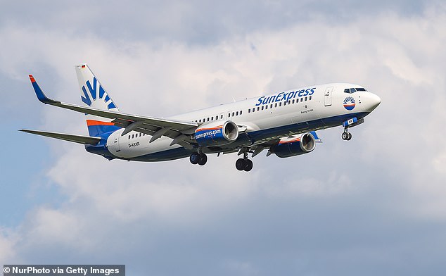 The family had to be removed from the SunExpress flight from London Gatwick to Dalaman, Turkey on Tuesday after the captain ordered them off (stock photo of SunExpress plane)
