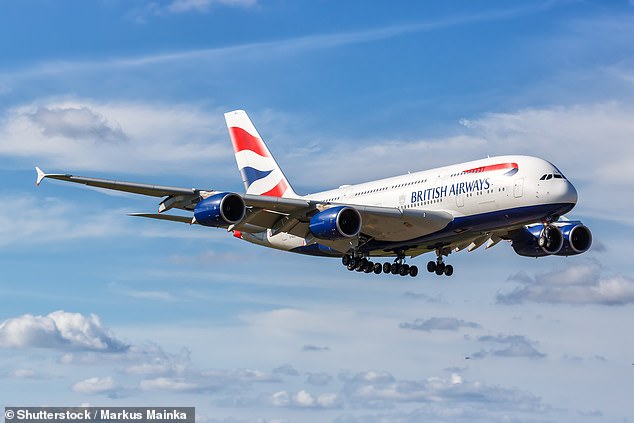 Last year a British Airways passenger was left feeling 'completely devastated' and 'physically sick' after she and her family were 'removed' from a flight - because her son has a severe nut allergy and there was a meal with nuts on board the plane