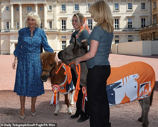 Die Königin (im Bild) streichelt ein Minipony, während sie einen Empfang für Brooke veranstaltet, eine Wohltätigkeitsorganisation, die sich der Verbesserung des Lebens von Arbeitspferden, Eseln und Maultieren widmet