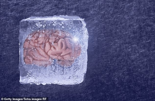 Da das Gehirn zu 80 Prozent aus Wasser besteht, können sich beim Einfrieren Eiskristalle im Gewebe bilden, die die Zellen schädigen und sie beim Auftauen funktionsunfähig machen.