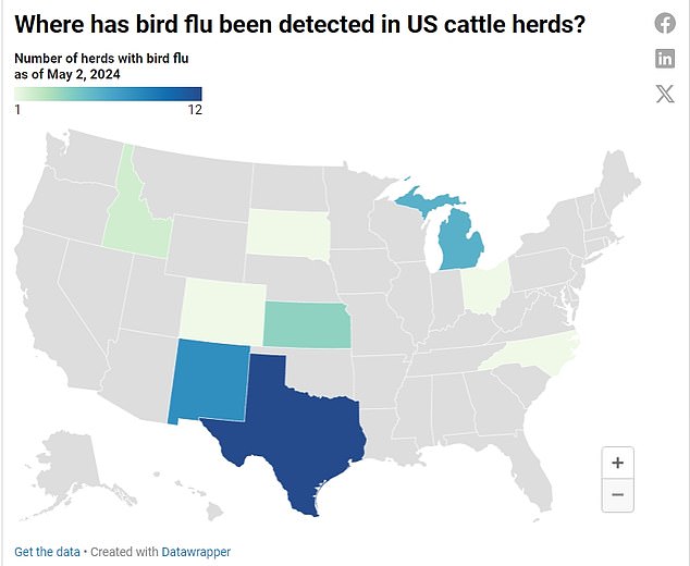 Die obige Karte zeigt Staaten, die Vogelgrippeinfektionen bei Rindern gemeldet haben
