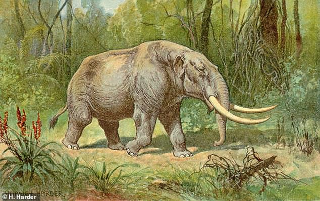 Das Mastodon lebte vor 5,4 Millionen Jahren, bis es vor 10.000 Jahren ausstarb. Es ist ein entfernter Verwandter des heutigen Elefanten.