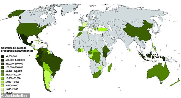 Die weltweit führenden Avocado-Anbauländer sind Peru, Spanien, Chie und Kolumbien.  Abgebildet sind die Länder, die nach ihrer Avocadoproduktion eingestuft sind, wobei Dunkelgrün am produktivsten ist