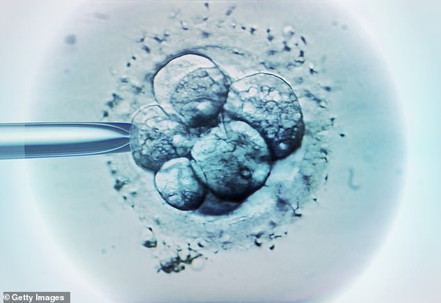 Wissenschaftler fanden heraus, dass bei Kindern, die mit gefrorenen Embryonen gezeugt wurden, die Wahrscheinlichkeit, später im Leben an Blutkrebs zu erkranken, um 61 Prozent höher war als bei Kindern, die auf natürlichem Wege zur Welt kamen.  Auch Babys, die durch IVF mit frischen Embryonen gezeugt wurden, hatten mit 41 Prozent ein erhöhtes Risiko